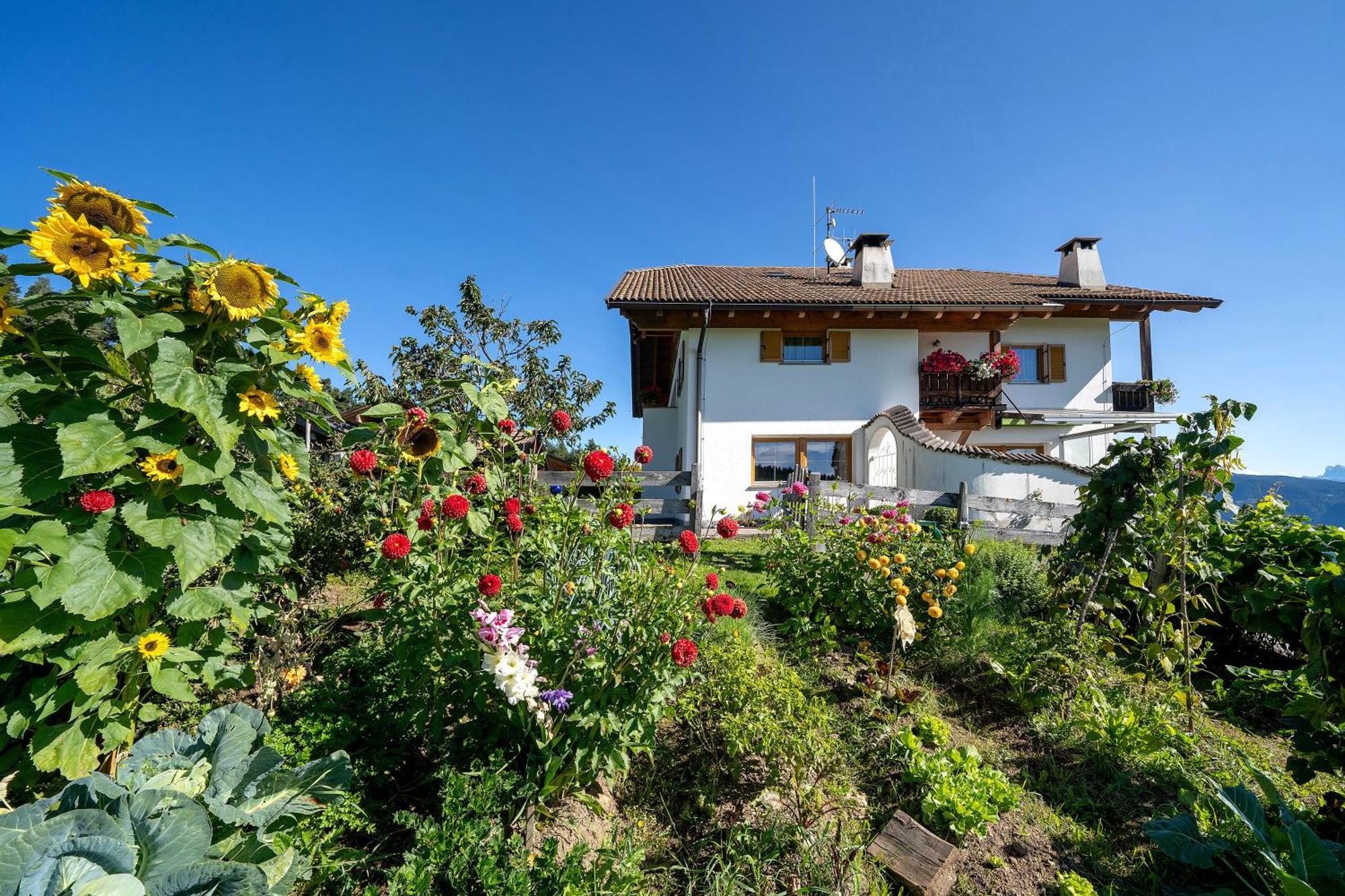 Wohnung Arnika Stuecklhof San Genesio Atesino Esterno foto